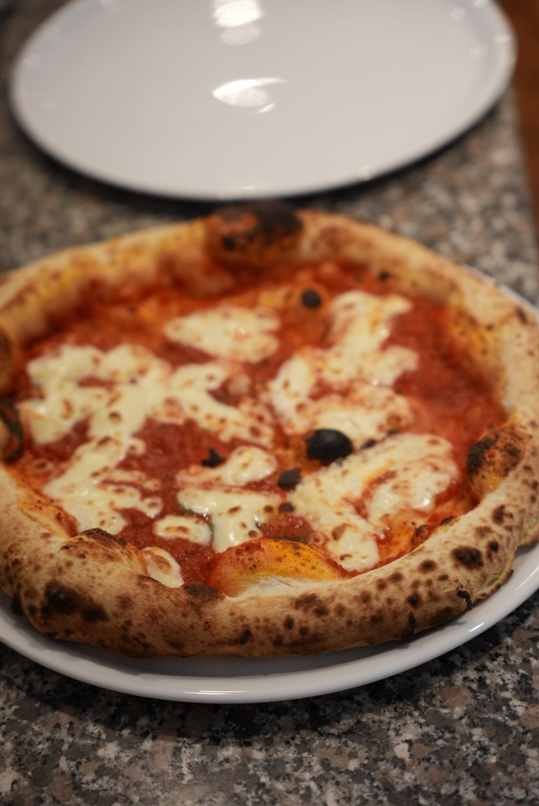 Pizza margherita